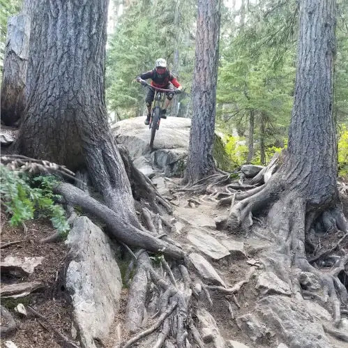 Kaleb, ERP Administrator