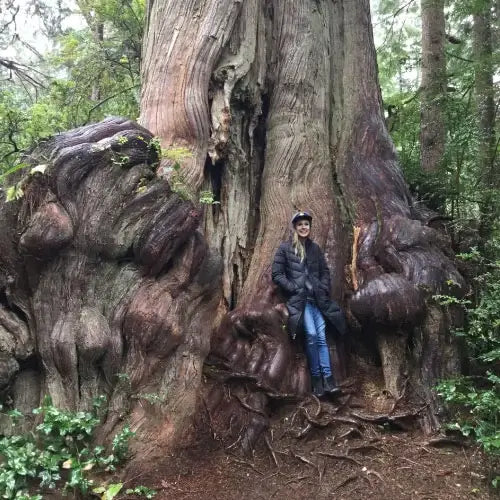 Sarissa, Head of eCommerce