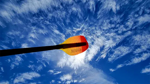 Werner paddle blade against a bright blue sky