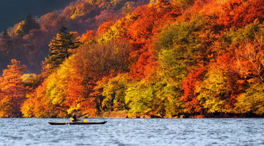 Man kayaking in front of bright fall foliage