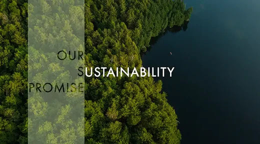 aerial view of trees and water
