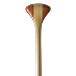 Bending Branches Beavertail