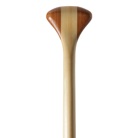 Bending Branches Beavertail