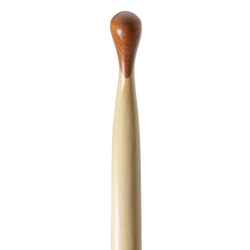 Bending Branches Beavertail