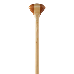 Bending Branches Cruiser Plus 11