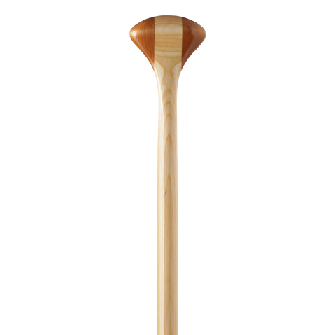 Bending Branches Cruiser Plus 11