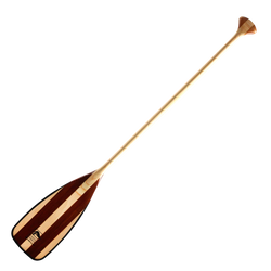 Bending Branches Explorer Plus