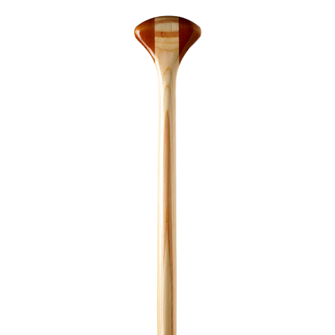 Bending Branches Explorer Plus