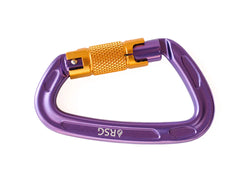 River Station Gear Carabiner (25kn Auto Lock)