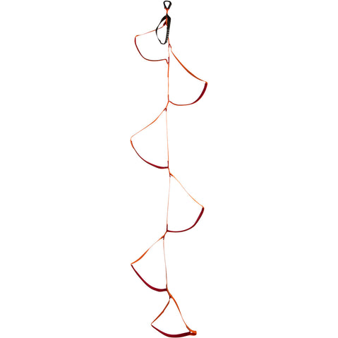 Black Diamond Etrier front