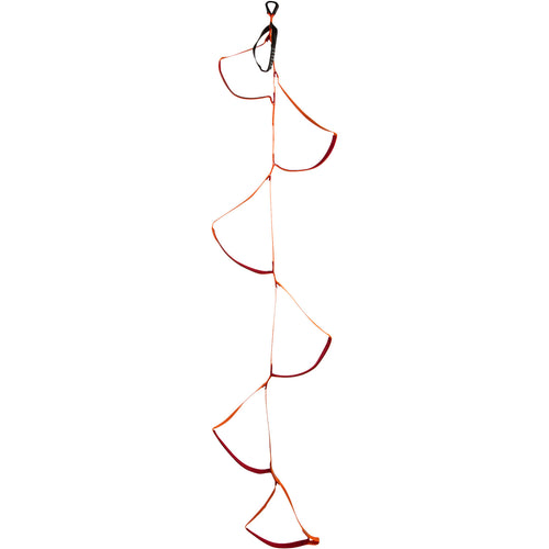 Black Diamond Etrier front