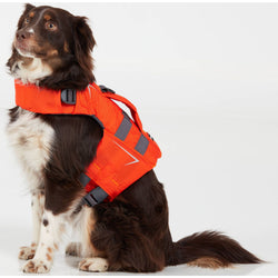NRS CFD Dog Life Jacket in Orange worn by a dog sitting