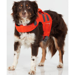 NRS CFD Dog Life Jacket in Orange worn by a dog standing