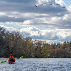Aqua Bound Whiskey Fiberglass Straight Shaft Posi-Lok 2-Piece Kayak Paddle in Geo Punch kayaker looking at birds