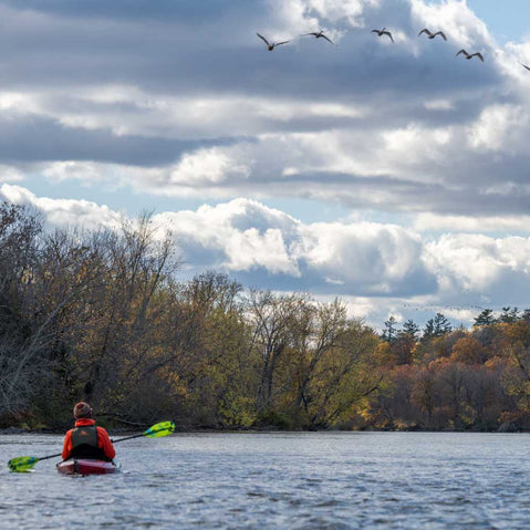 Aqua Bound Whiskey Fiberglass Straight Shaft Posi-Lok 2-Piece Kayak Paddle in Geo Punch kayaker looking at birds