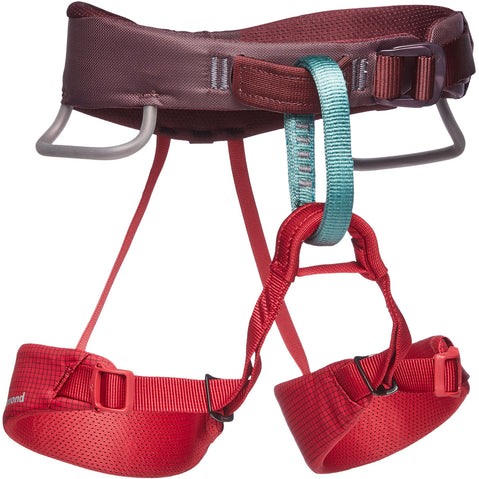 Black Diamond Kid's Momentum Rock Climbing Harness in Wild Rose front