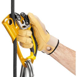 Petzl Ascension Ascender detail