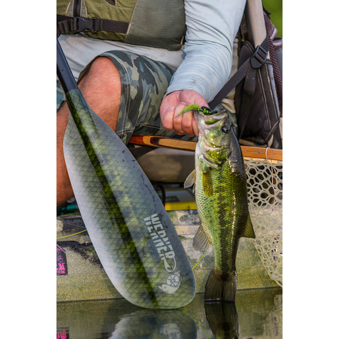 Close up of fisherman holding fish next to paddle blade