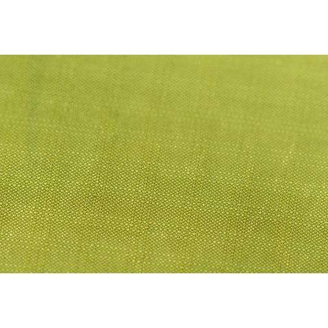 Nemo Equipment Women's Disco 15-Degree Endless Promise Down Sleeping Bag in Birch Bud fabric detail