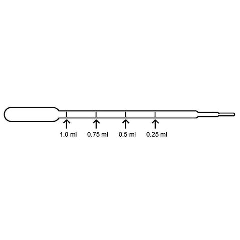 Clifton Accelerator ACC 4844 diagram
