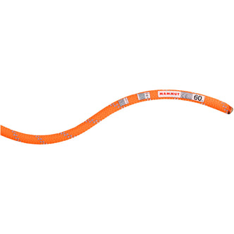 Mammut 9.5 Alpine Dry Climbing Rope in Safety Orange/Zen logo