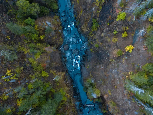 aerial view of river and trees